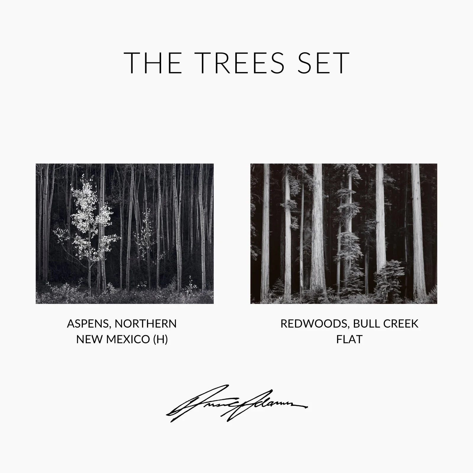 Black & White Photography